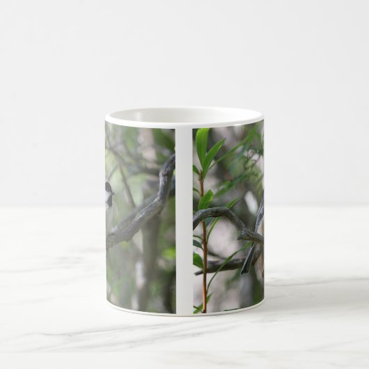 Schwarz-mit einer Kappe bedeckter Chickadee Kaffeetasse (Mittel)