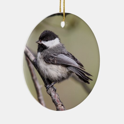 Schwarz-mit einer Kappe bedeckter Chickadee Keramikornament (Rechts)