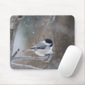 Schwarz-mit einer Kappe bedeckter Chickadee - Mousepad (Mit Mouse)