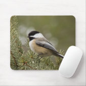 Schwarz-mit einer Kappe bedeckter Chickadee Mousepad (Mit Mouse)