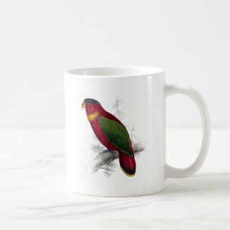 Schwarz-Mit einer Kappe bedeckter Lory durch Kaffeetasse
