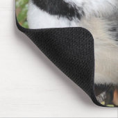 Schwarz-mit einer Kappe bedecktes Cickadee Mousepad (Ecke)