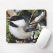 Schwarz-mit einer Kappe bedecktes Cickadee Mousepad (Mit Mouse)