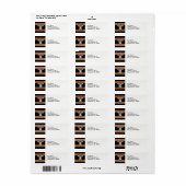 Schwarz mit Orange White Stripes Team Jersey (Vorne)