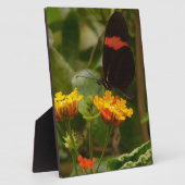 Schwarz mit rotem Flash-Butterfly Fotoplatte (Seite)