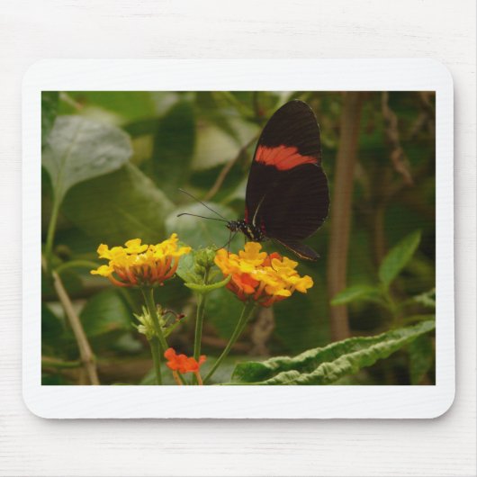 Schwarz mit rotem Flash-Butterfly Mousepad (Vorne)
