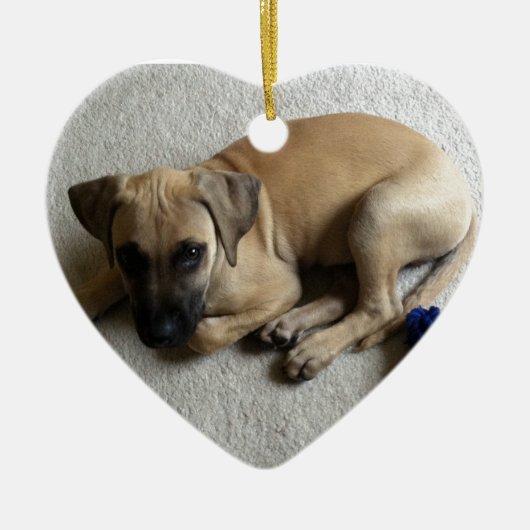 Schwarz-Mund Kanaillewelpe mit blauem Spielzeug Keramik Ornament (Vorne)