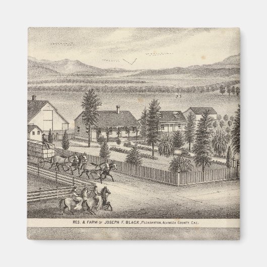 Schwarz, Nealresidenzen, Grundstücke Magnet (Vorne)