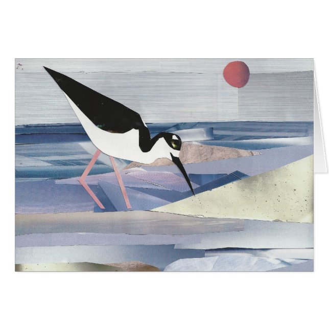 Schwarz-necked Stelze (Vorderseite (Horizontal))