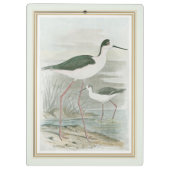 Schwarz-Necked Stelzen durch das Wasser Klemmbrett (Rückseite)