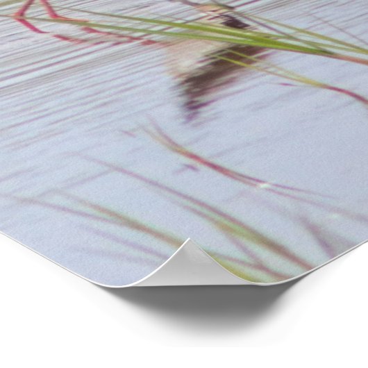 Schwarz-Necked Stilt Poster (Ecke)