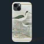 Schwarz-Neckeln am Wasser iPhone 13 Hülle<br><div class="desc">Dieses schlichte und doch wunderschöne Kunstdrucke von zwei schwarzhackigen Pfahlen,  die an einem bewölkten Tag vom Wasser stehend werden,  wird für jedes Zazzle-Produkt perfekt aussehen. Die neutralen Farbtöne sind sehr entspannend und würden eine tolle Ergänzung zu Ihrer Zuhause oder Ihrem Büro darstellen.</div>