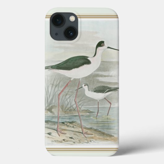 Schwarz-Neckeln am Wasser Case-Mate iPhone Hülle (Rückseite)