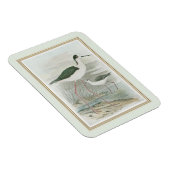 Schwarz-Neckeln am Wasser Magnet (Rechte Seite)