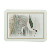 Schwarz-Neckeln am Wasser Magnet (Horizontal)