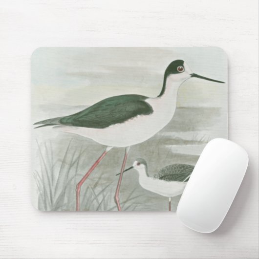 Schwarz-Neckeln am Wasser Mousepad (Mit Mouse)