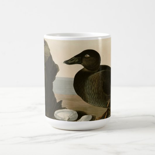 Schwarz-oder Brandungs-Ente Kaffeetasse (Mittel)