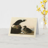 Schwarz oder Surf Duck von Audubons Vögeln von Ame Karte (Gelbe Blume)