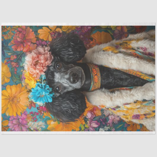 Schwarz-Poodle-Portrait Seidenpapier (Vorderseite)