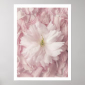 Schwarz-Rosa-Kirsche Blüte Fotografie Wandkunst Poster (Vorne)