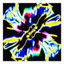 Schwarz, Rot, Gelb, Blau-Raum-Blume