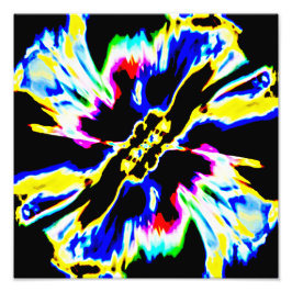 Schwarz, Rot, Gelb, Blau-Raum-Blume Fotodruck