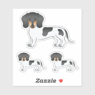 Schwarz-Rot-Weißer Kurzhaar-Dachshund Aufkleber