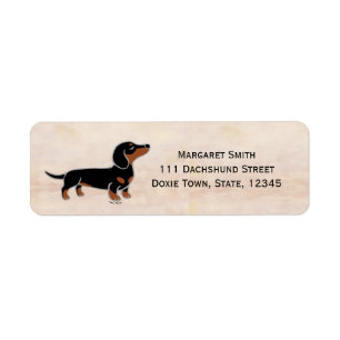 Schwarz-roter Dachshund beim Posieren