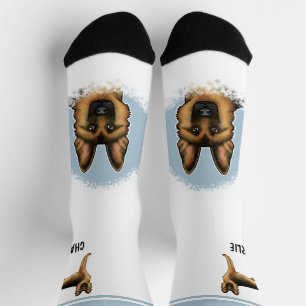 Schwarz-roter deutscher Schäferhund mit individuel Socken