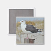Schwarz-Rücken-Gull-Serie Magnet (Vorderseite/Rückseite)