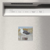 Schwarz-Rücken-Gull-Serie Magnet (In Situ (Geschirrspüler))