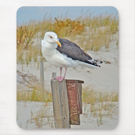 Schwarz-Rücken-Gull-Serie Mousepad (Vorne)