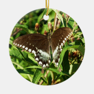Schwarz-Schwalbenschwanz-Schmetterling Naturfotogr Keramik Ornament