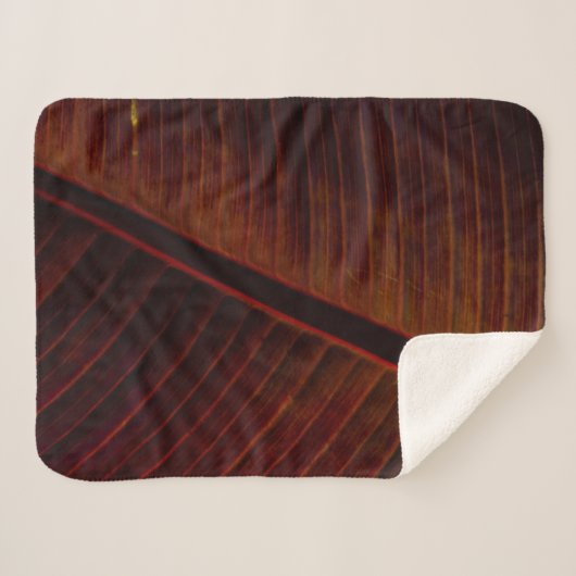 Schwarz Sherpadecke (Vorderseite (Horizontal))