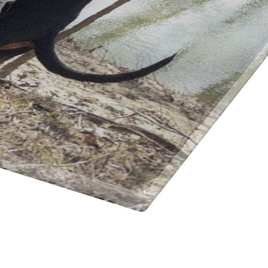 Schwarz-Tan-Coon-Hunde Tretboard Schneidebrett (Ecke)