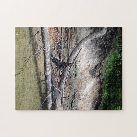 Schwarz-Tan-Konterhund-Treeing im Fluss Puzzle (Horizontal)