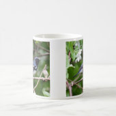 Schwarz-throated blauer Trällerer Kaffeetasse (Mittel)