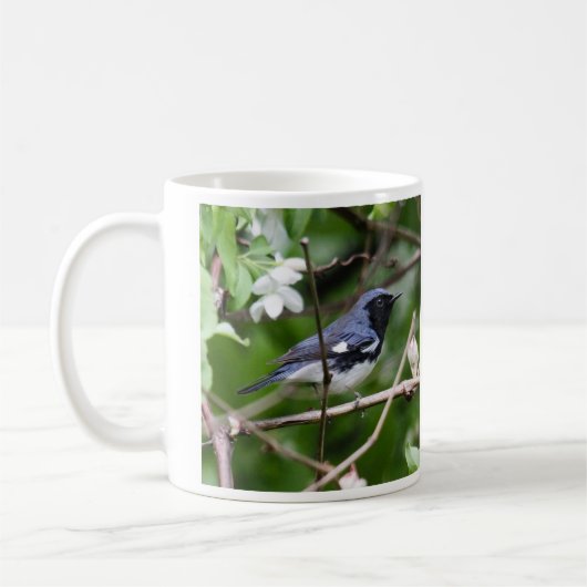 Schwarz-throated blauer Trällerer Kaffeetasse (Links)