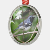 Schwarz-throated blauer Trällerer Ornament Aus Metall (Links)