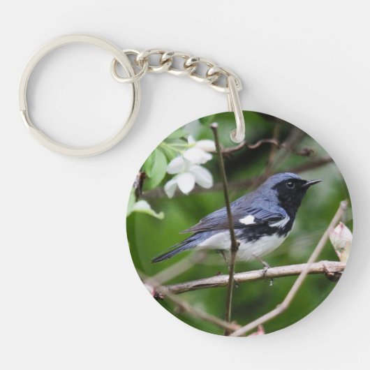 Schwarz-throated blauer Trällerer Schlüsselanhänger (Vorderseite)