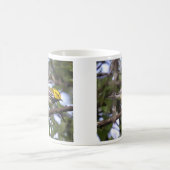 Schwarz-throated grüner Trällerer Kaffeetasse (Mittel)