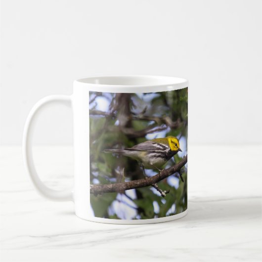 Schwarz-throated grüner Trällerer Kaffeetasse (Links)