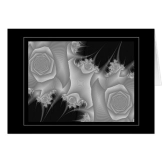 Schwarz u. Weiß 8 (Rosen)