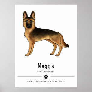 Schwarz und Braun gefärbter Deutscher Schäferhund Poster