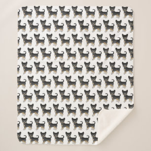 Schwarz und Braun glatthaariger Chihuahua-Hund-Mus Sherpadecke