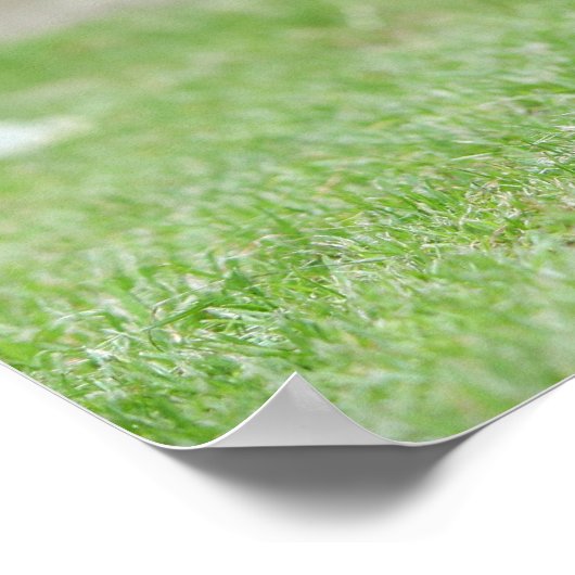 Schwarz und Cream Chihuahua Poster (Ecke)