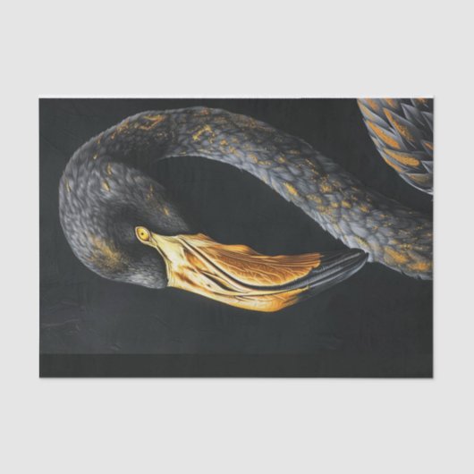 Schwarz und Gold Flamingo3 Seidenpapier (Vorderseite)