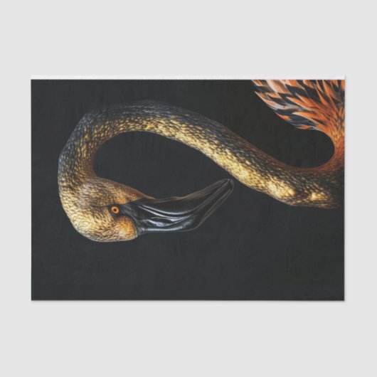 Schwarz und Gold Flamingo7 Seidenpapier (Vorderseite)