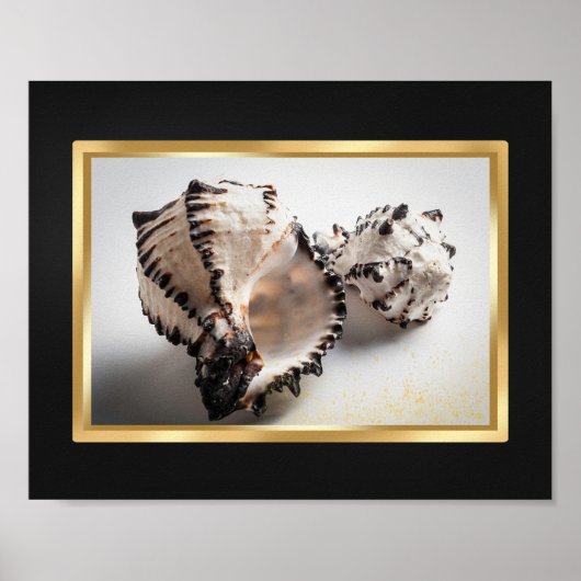 Schwarz und Gold tropische Seashell Printable Art Poster (Vorne)