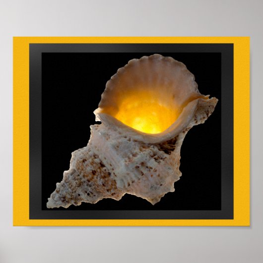 Schwarz und Gold tropische Seashell Printable Art Poster (Vorne)